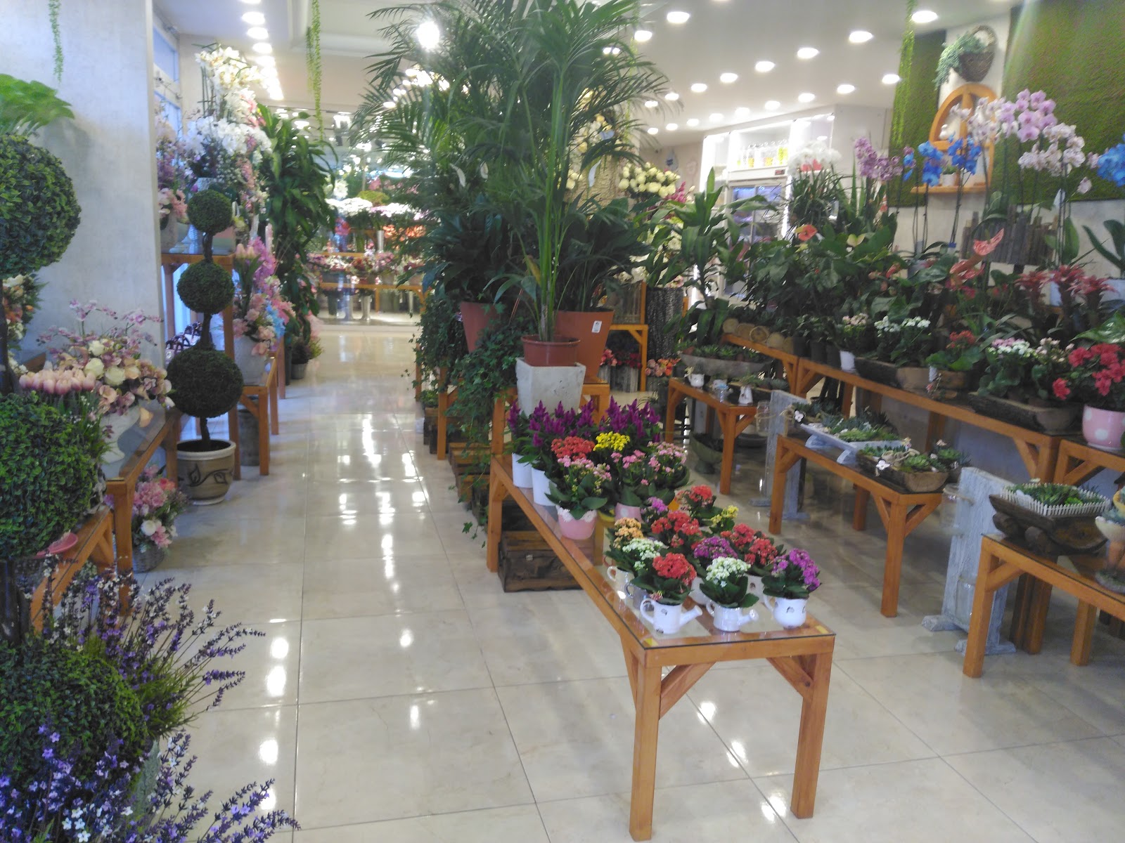 ANKARA FLORIST