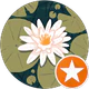 seyda atak profil fotoğrafı