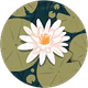 Ayşe profil fotoğrafı