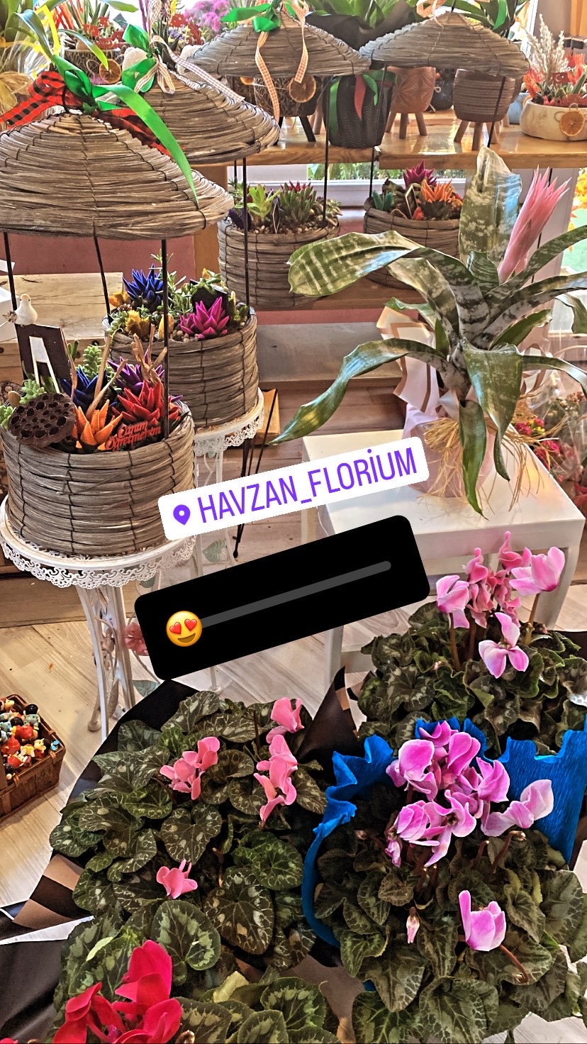 HAVZAN FLORİUM ÇİÇEK MERAM ,HELYUM BALON,PARTİ MALZEMELERİ