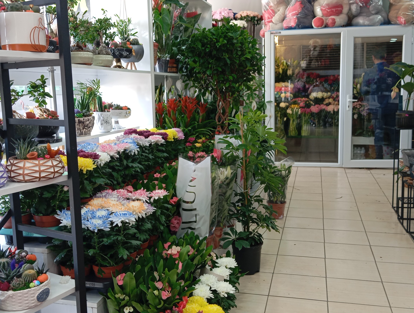 Konya world of flowers