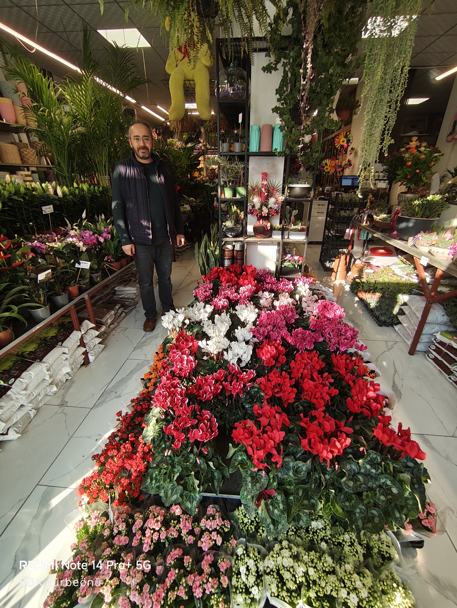 Sera Market süs bitkileri & çiçekçilik