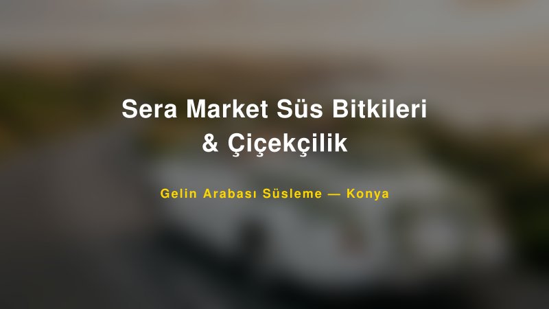 Sera Market Süs Bitkileri & Çiçekçilik Konya Gelin Arabası Süsleme